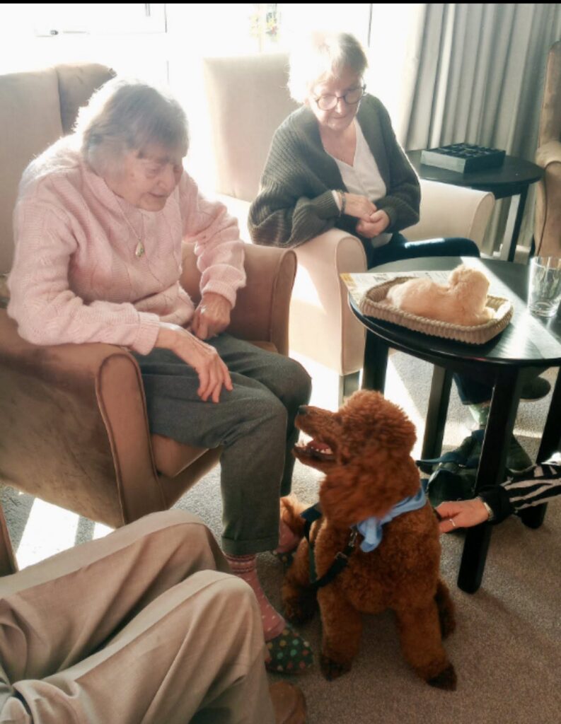 Residents with pet therapy poodle