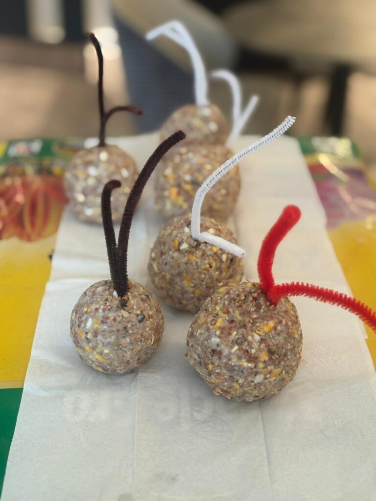bird seed balls
