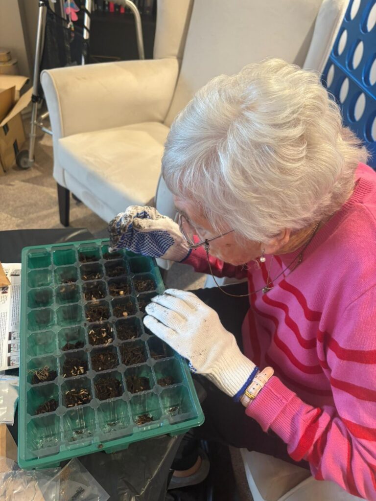 elderly woman planting seeds indoors